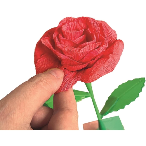Imagem do produto 12681218877_C