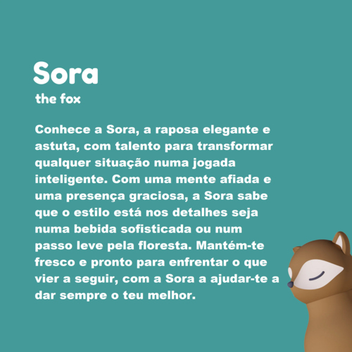 Imagem do produto 29514358370_A