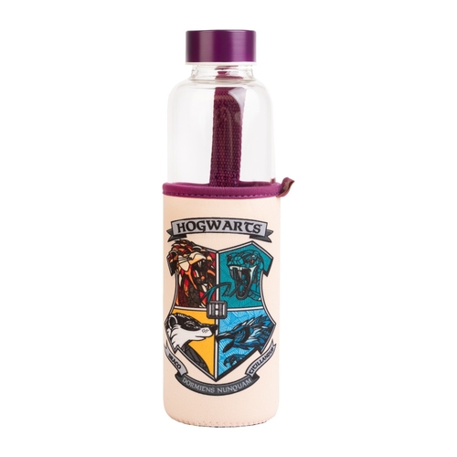 Garrafa Erik Vidro 500ml Harry Potter
