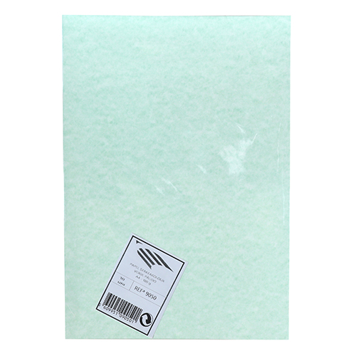 BLISTER 10 FOLHAS PAPEL STRATAKOLOUR A4 170GR VERDE PÁLIDO 9050