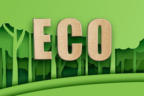 Eco Cons. Final